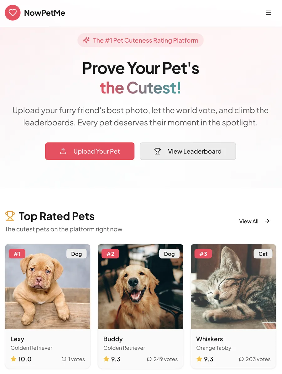 Community engagement platform with voting and leaderboards